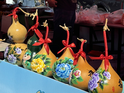解鎖田園新“硒”引力 大武口區(qū)“硒”望之約·田園硒游記嘉年華啟幕，賦能個人健康生活